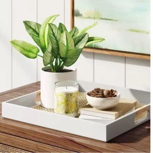 THRESHOLD TRAY